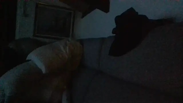 davigochi77bcn online show from February 2026 10:21:01 PM