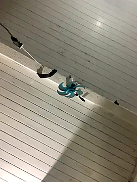 raphadoors19 online show from December 2025 04:07:02 AM