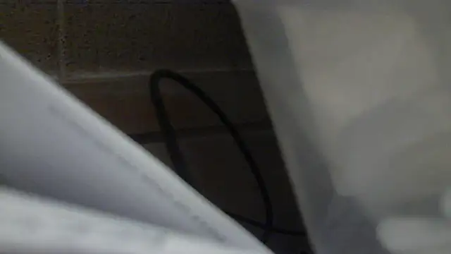 stelletje55 online show from April 2026 07:44:01 PM