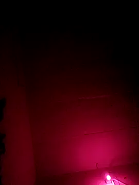 Shreya-Shetty09 online show from October 2025 03:11:02 PM