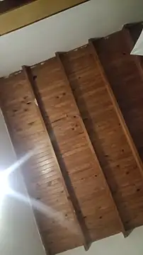 ZaraHoney online show from October 2025 05:11:02 AM