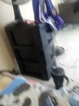 vcsxvbx online show from February 2026 05:31:01 PM