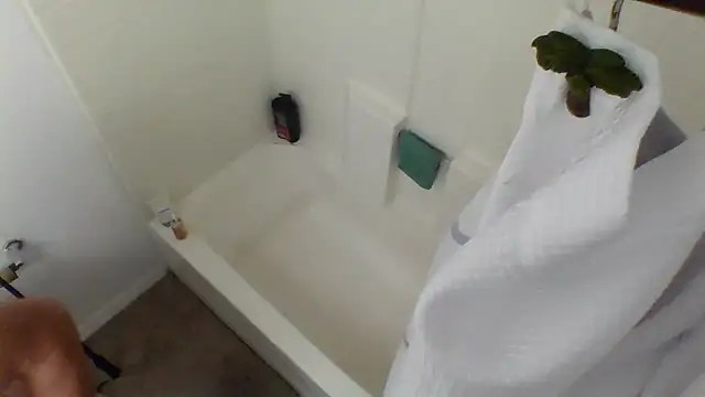 Yankeedave420 online show from January 2025 03:47:02 AM