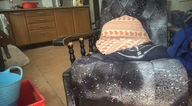 translove online show from January 2025 09:48:02 AM