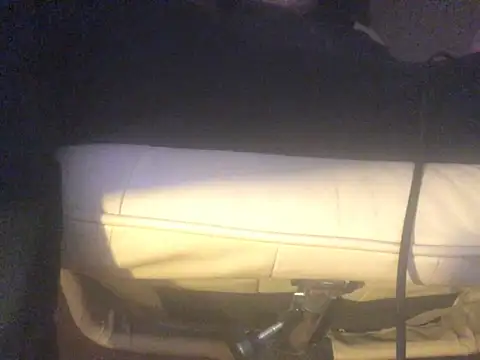 translove online show from March 2025 08:29:02 PM