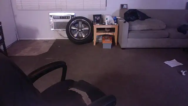 palidin1 online show from April 2026 07:33:02 AM