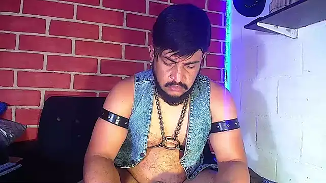 the master foal  online show from January 2025 10:07:02 AM