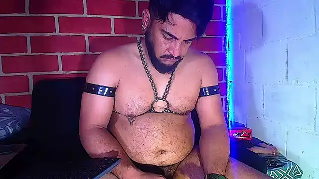 the master foal  online show from January 2025 08:36:01 AM