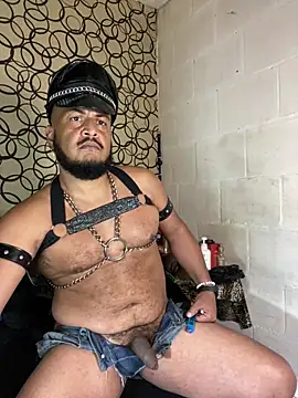 the master foal  online show from April 2026 07:17:02 AM