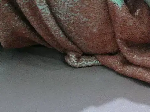 FUN4TIPS online show from March 2025 07:26:02 PM