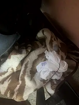 falooda288 online show from January 2026 08:41:01 AM