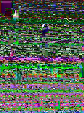 Mini And The Bear online show from June 2026 06:06:02 PM