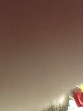 Snapshot of PanBecher chatting on June 2026 02:20:02 AM PanBecher online show from June 2026 02:20:02 AM