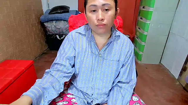 M e c e l online show from December 2025 11:37:01 AM