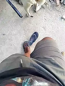 Snapshot of TitularAdaption chatting on February 2026 06:53:01 AM TitularAdaption online show from February 2026 06:53:01 AM