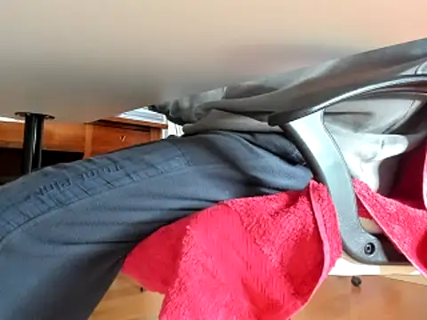 leccaleccafiga online show from February 2025 09:20:01 AM