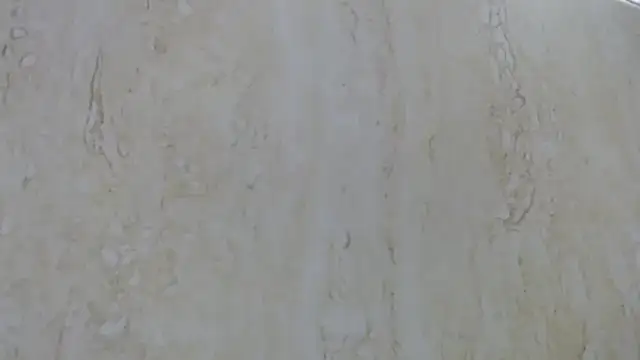 Crazy team  online show from December 2024 09:37:02 PM