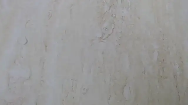 Crazy team  online show from December 2024 11:30:01 AM