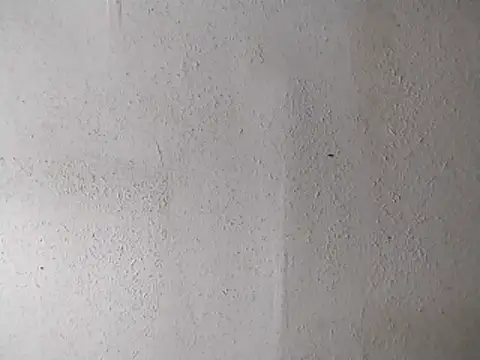 247Srokin online show from April 2026 07:14:01 AM