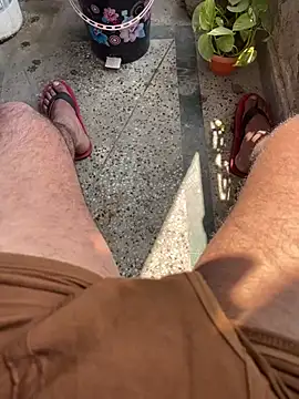 Bareilly Boy1 online show from February 2025 06:49:02 AM