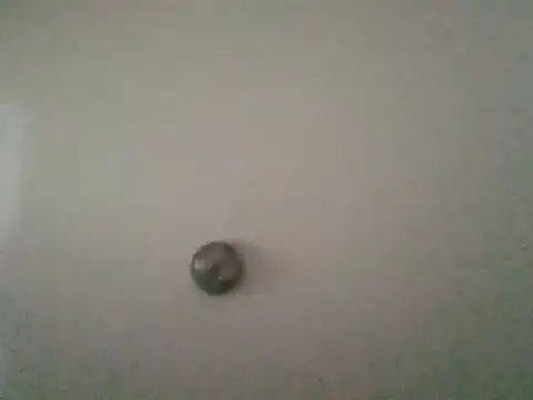 shaynarg online show from March 2026 04:52:02 AM