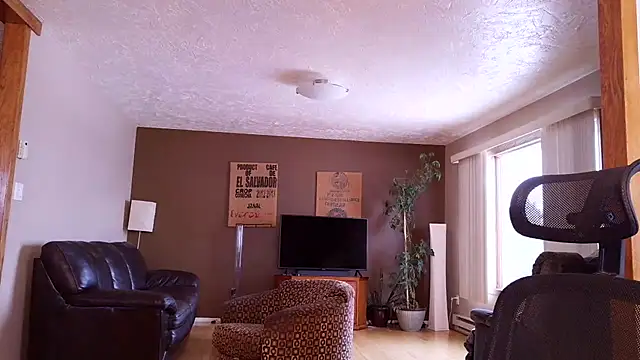 BasicAnt online show from March 2026 01:47:01 PM