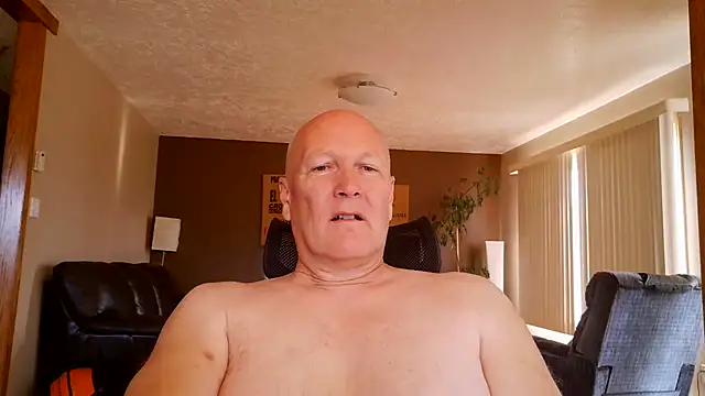 BasicAnt online show from June 2026 02:34:01 PM