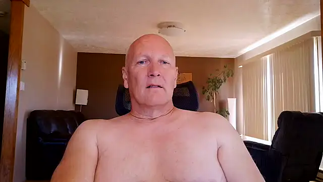 BasicAnt online show from July 2026 02:30:02 PM