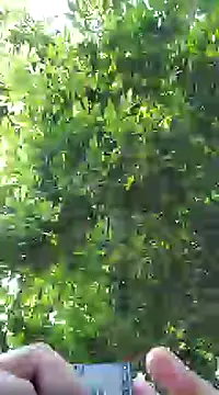 pene8991 online show from January 2025 07:16:01 PM