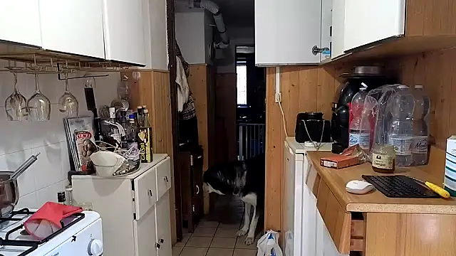 VanessaDoyle online show from February 2026 08:57:01 AM