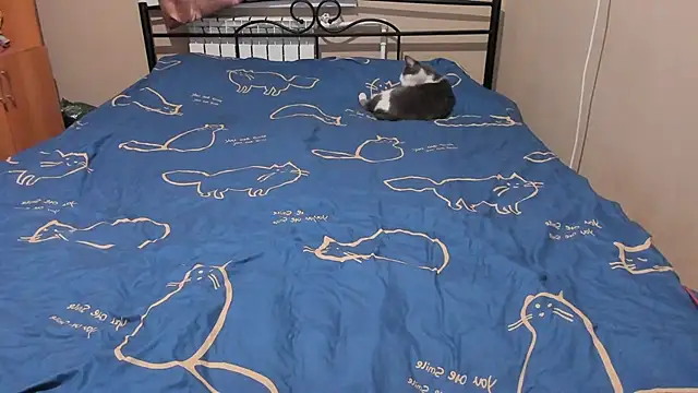 eva zero online show from December 2025 03:07:01 PM