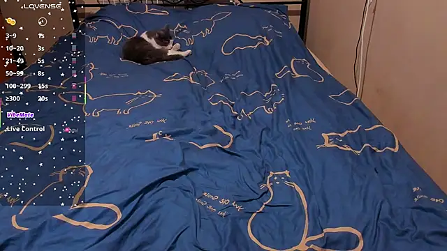 eva zero online show from February 2026 02:28:01 PM