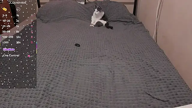 eva zero online show from March 2026 11:10:01 AM