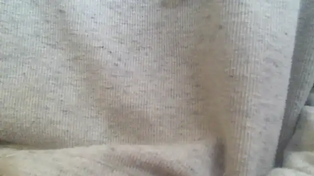 OralDesires2 online show from February 2025 03:20:02 PM