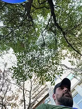 TigerOne19 online show from October 2025 10:17:02 AM