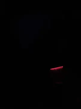 dingoding online show from January 2025 02:50:02 AM