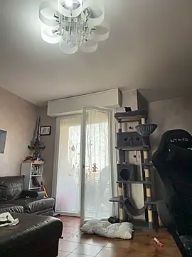 DaisyVibesss online show from February 2026 10:56:01 AM