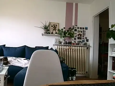 Simon-tem online show from February 2026 01:38:01 PM