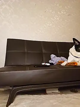 Marushka online show from December 2024 06:12:02 PM