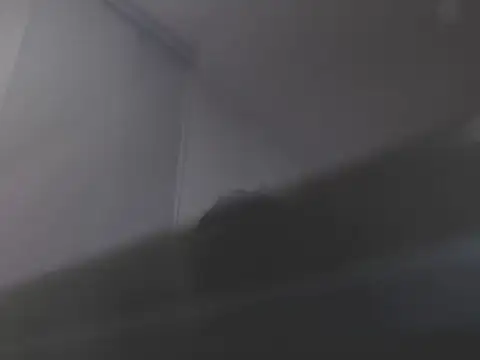 violetasweet11 online show from February 2026 07:04:02 AM