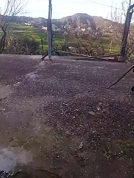 K-27 online show from February 2026 04:14:01 PM