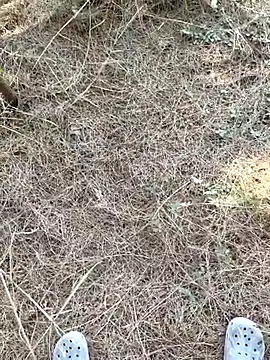 Gopal1243 online show from January 2026 07:55:01 AM