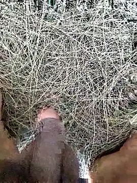 Gopal1243 online show from February 2026 08:10:02 AM