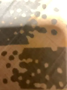 fep84 online show from March 2026 04:49:02 AM