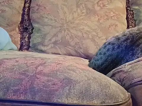 highstepper500 online show from December 2025 07:47:01 AM