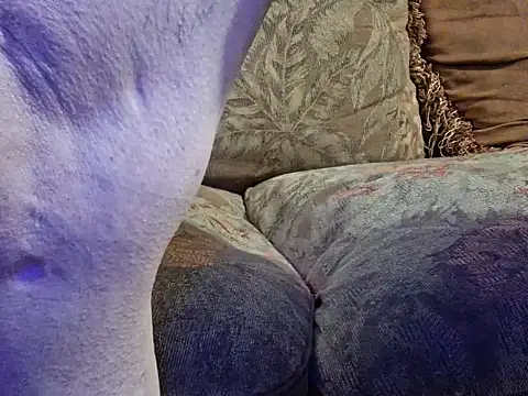 highstepper500 online show from February 2026 10:49:01 AM