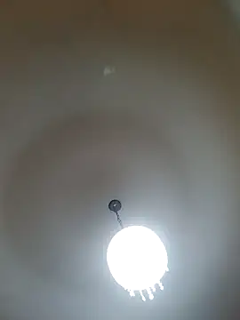 White rabbit  online show from February 2025 07:16:01 PM