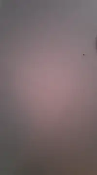 Maxmusterman20023 online show from January 2025 01:41:01 AM