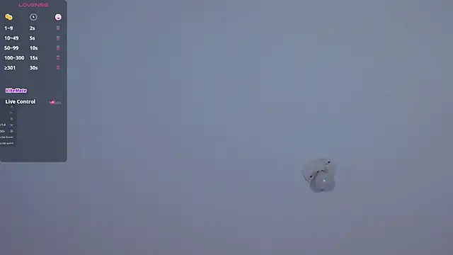 bella n99 online show from December 2024 03:13:02 PM