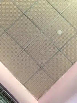 Hullax online show from November 2025 09:31:01 AM